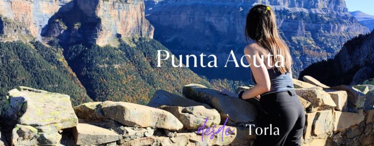 Punta Acuta