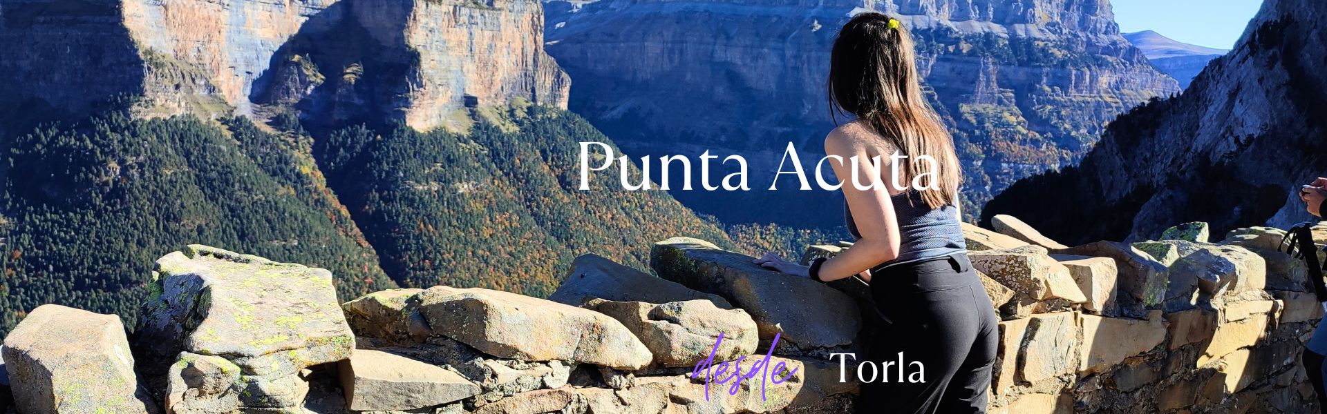 Punta Acuta