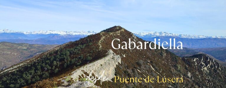 Gabardiella