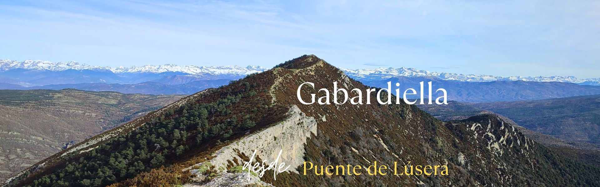 Gabardiella