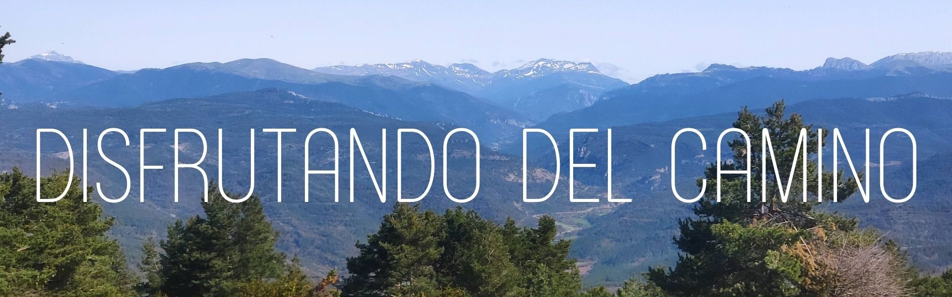 DISFRUTANDO DEL CAMINO