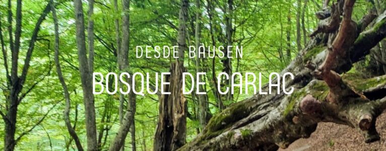 Bosque de Carlac