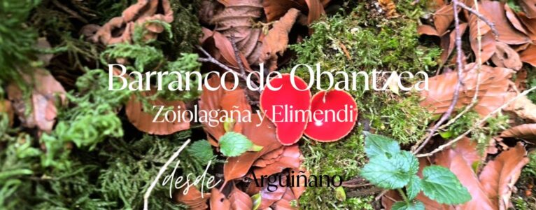 Barranco de Obantzea. Zoiolagaña y Elimendi
