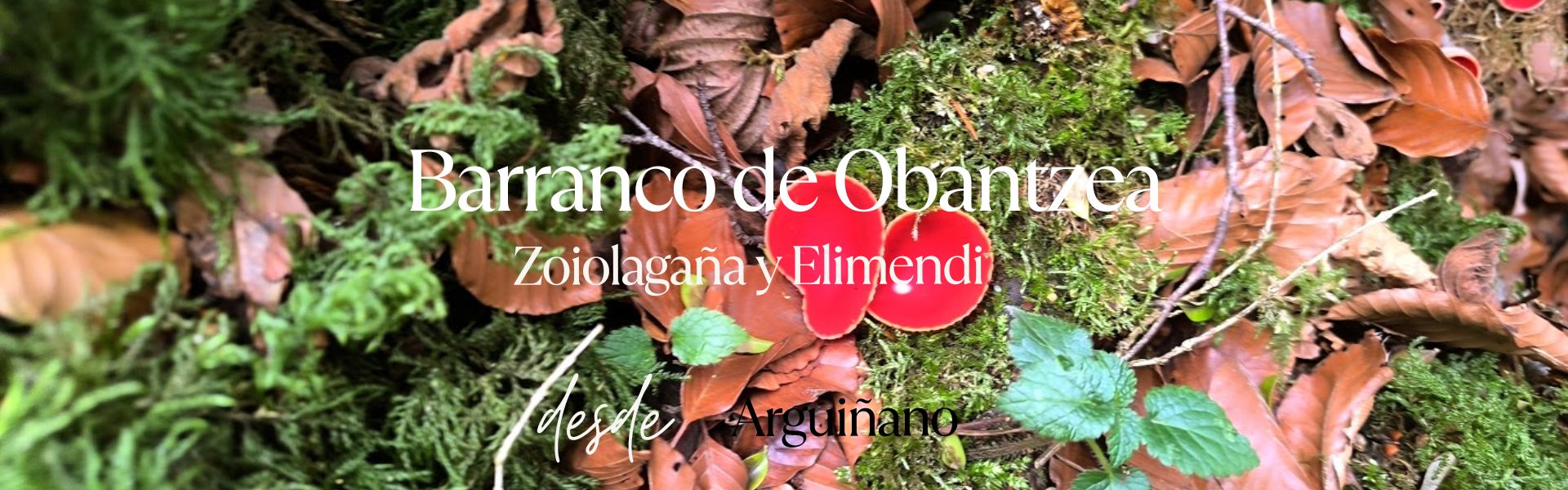 Barranco de Obantzea. Zoiolagaña y Elimendi