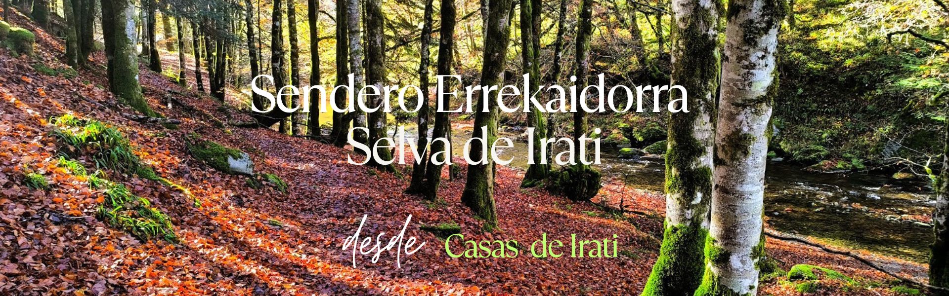 Sendero Errekaidorra. Selva de Irati