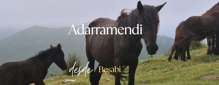 Adarramendi, desde Besabi