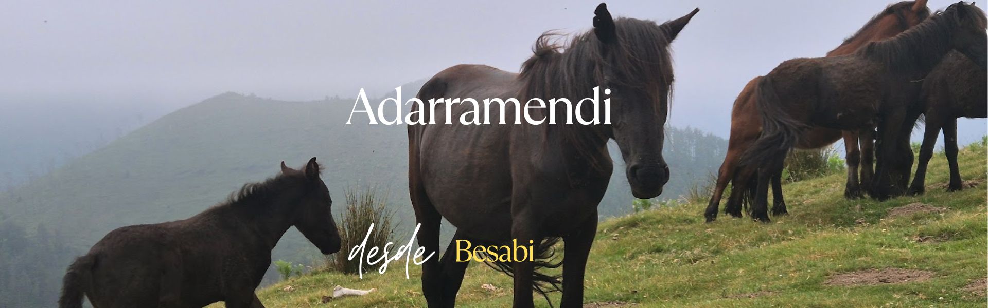Adarramendi, desde Besabi
